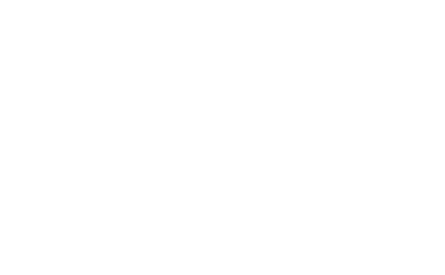DV Marketing